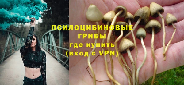соль курить ск Верхний Тагил